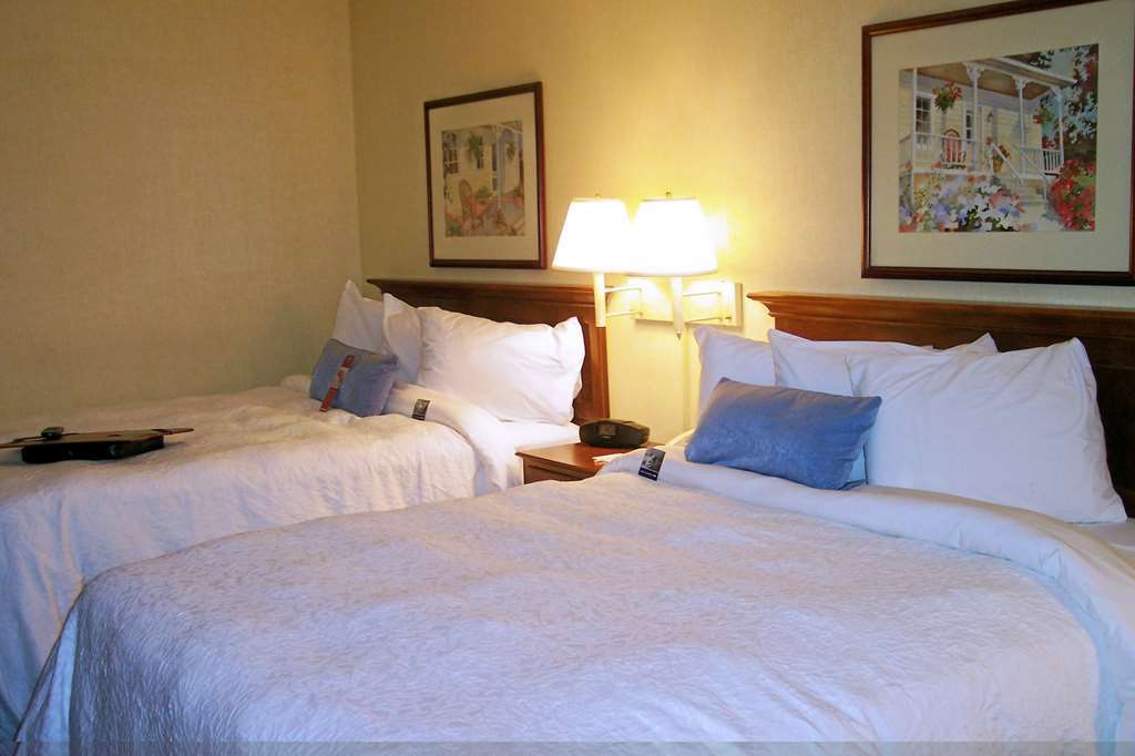 Hampton Inn Salem East - Electric Road Habitación foto
